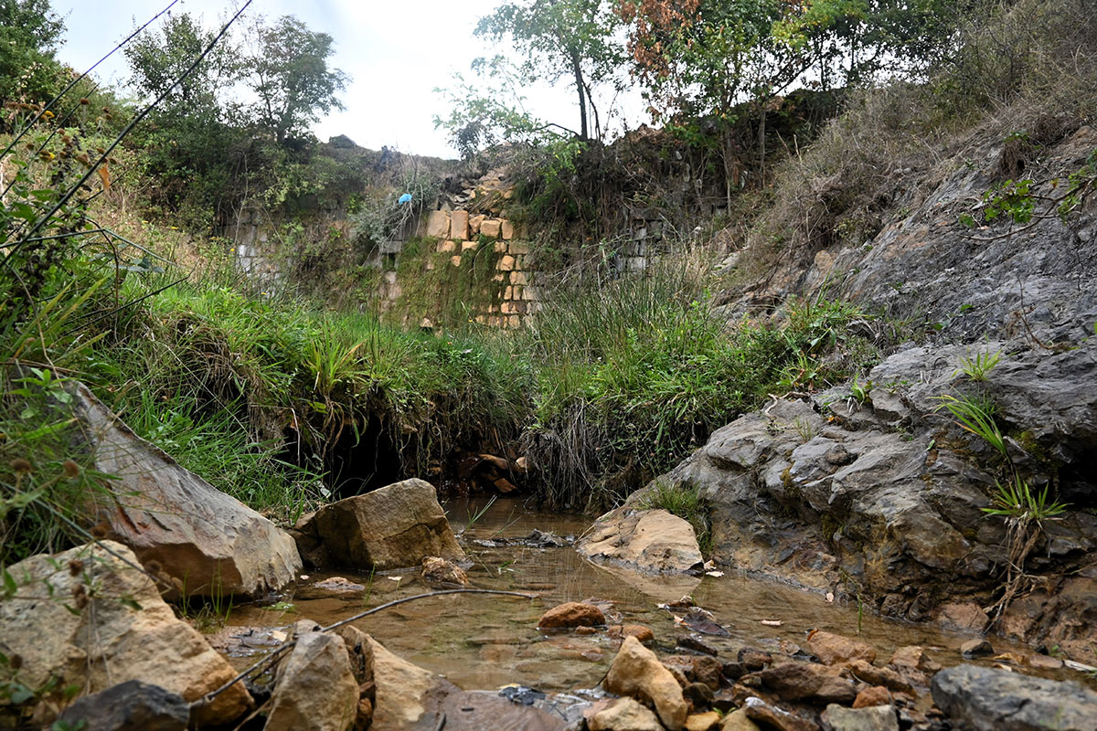 digaeliqenitjanjeve1